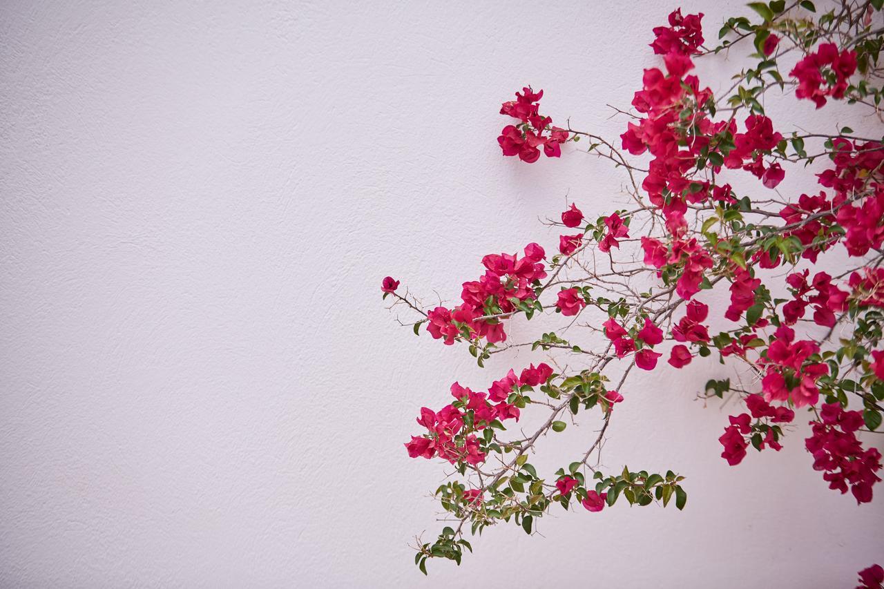 Spetses Retreat Accommodation Buitenkant foto