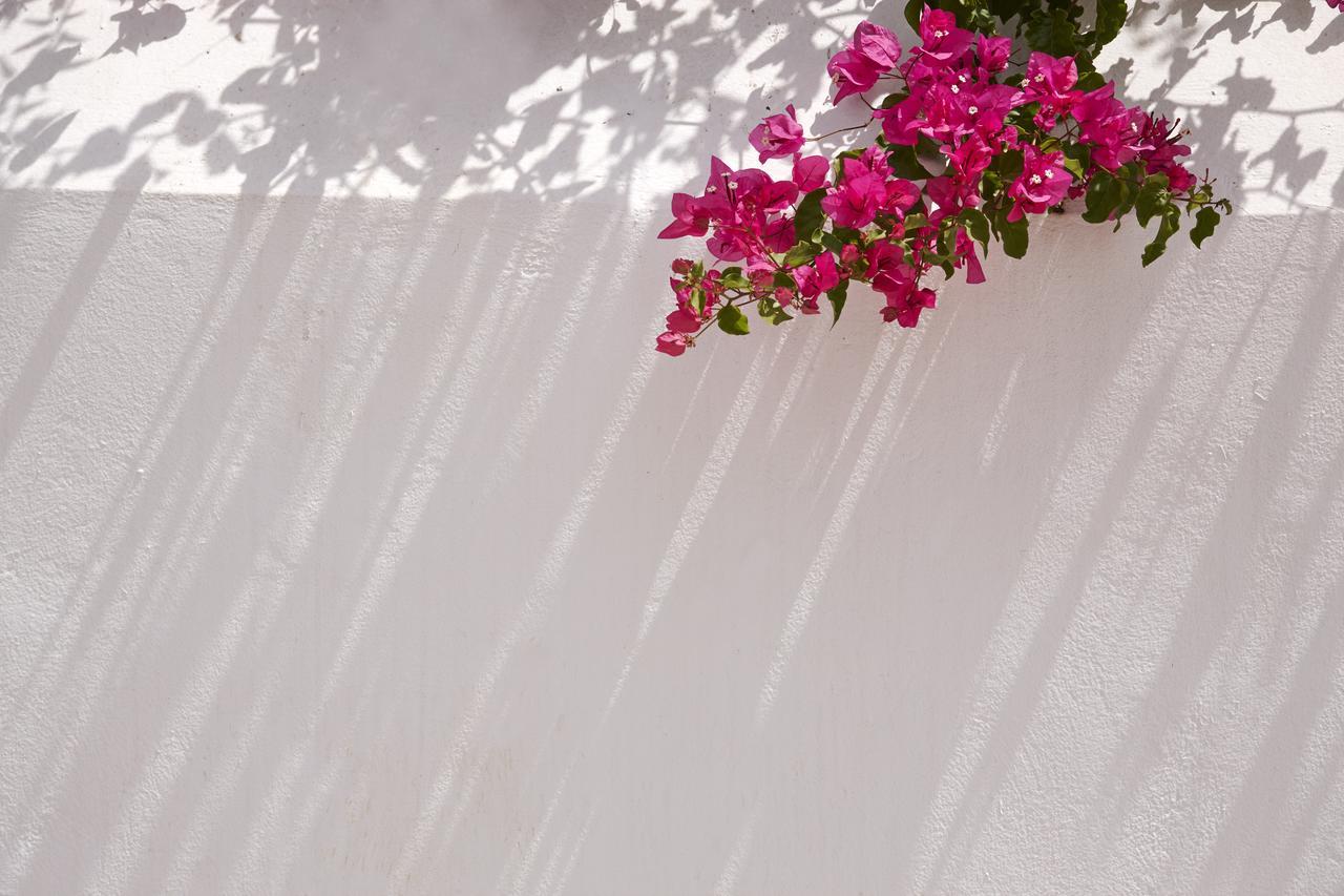 Spetses Retreat Accommodation Buitenkant foto